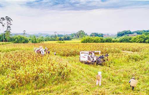 ��Ʒ�ֺ�������ϰ����ȶ�����