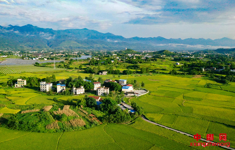 �Ĵ��������ﵽũ�ҵ�Ʈ��