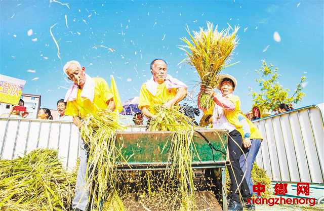 ����֮�� ϲ�����