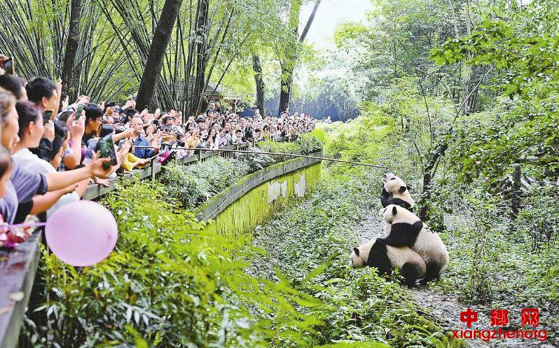 �ɶ�����è�����о�����ӭ�������߷�