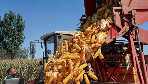 �ջ�����