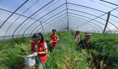 ��Ա�»��� ���������