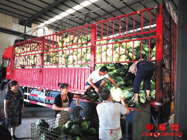 ����������ļ�������ϵ ������ũ��չ�»���