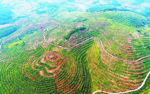 �Ͳ��ҵ������