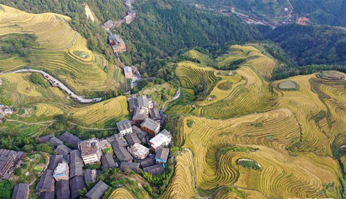 ������ɫ