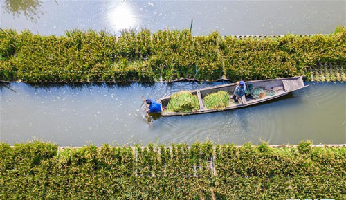 ��塰ˮ��ũ����ӭ����