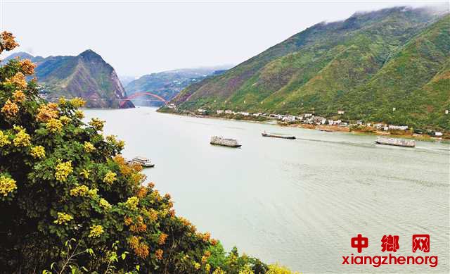 �ּ���Ͽƽ��