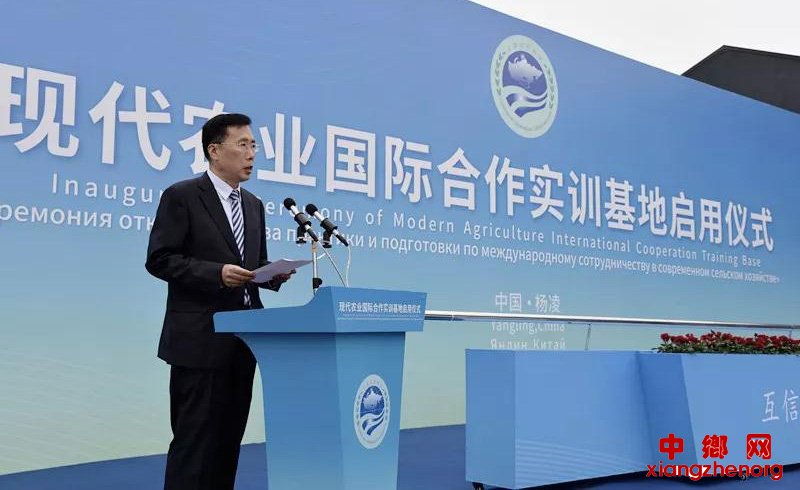 �ִ�ũҵ���ʺ���ʵѵ��������