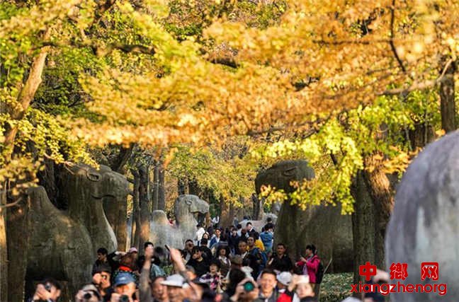 ����ŵ�Ⱦ��ɫ