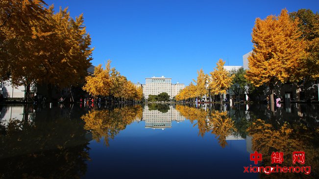 �����廪԰