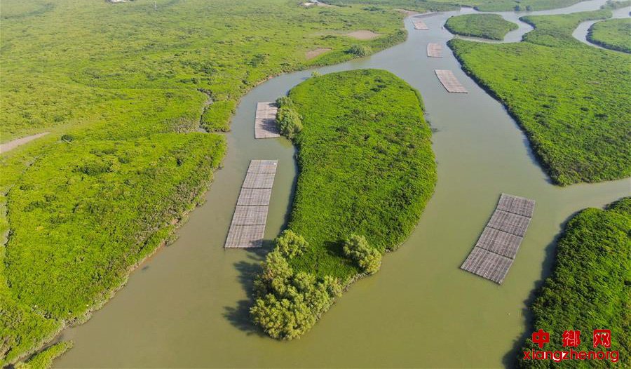 �ɡ��ġ�����ɭ�֡���������