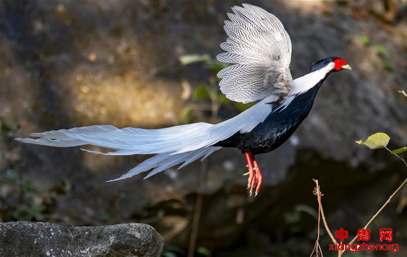 Ѱ�ҳ�������֮��