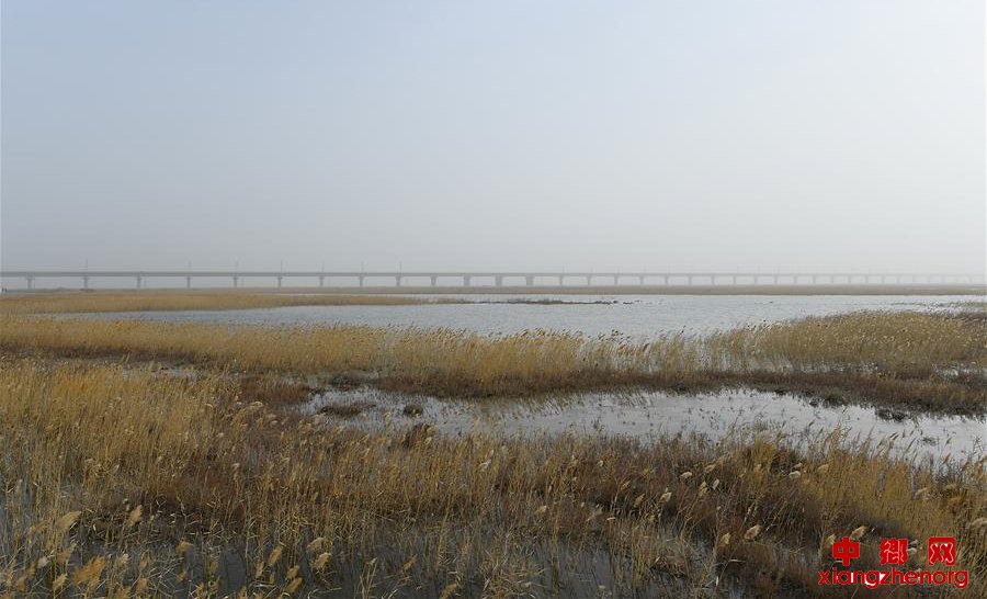 ���ŷɼܹ�����ɫ������ͨ��