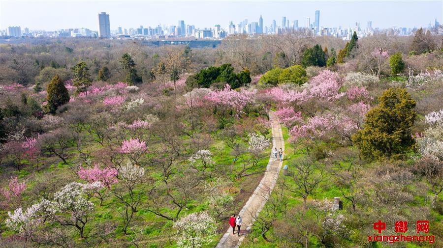 �Ͼ���÷�����Ŵ���Ũ