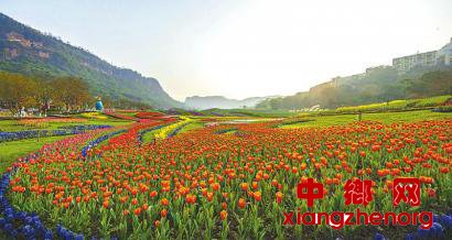 ���ش�� �����츮