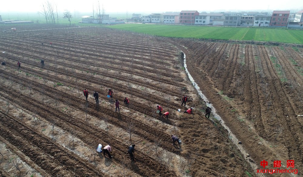 ����ʡ������������ʱ��־Ը�߷�ƶ�����Ͷ�æ