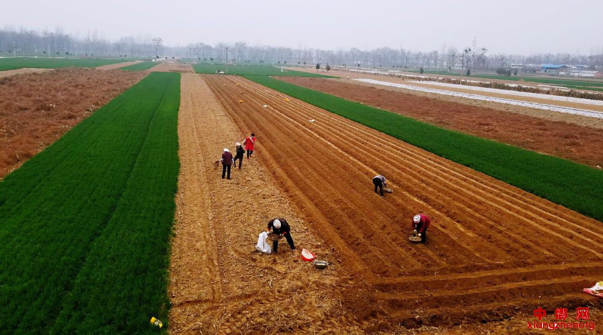 ����ʡκ����һ֧��ƶר�� �ӿ����鸴��