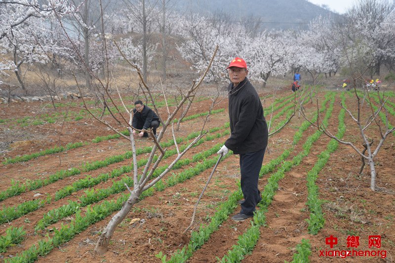 ɽ�¾��ø�ũ��