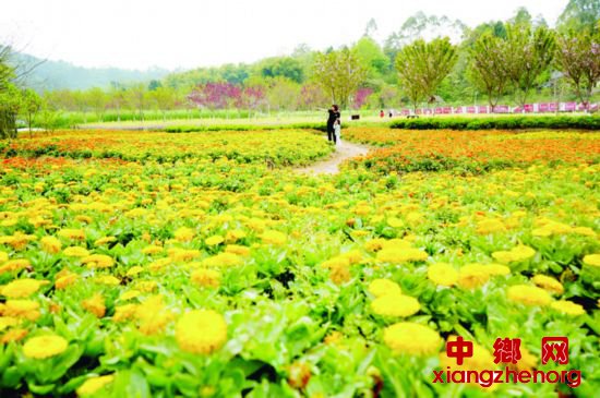 �Ĵ��㰲�����ǻ���������԰��ɫ���˳���