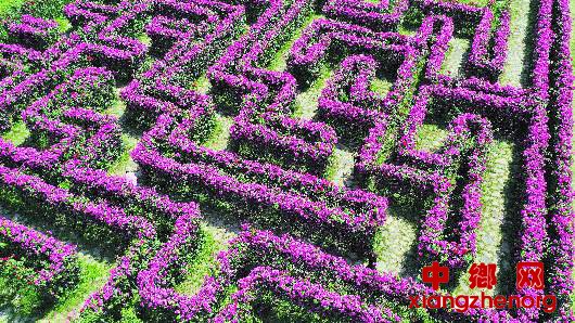 ��������õ���Թ���������