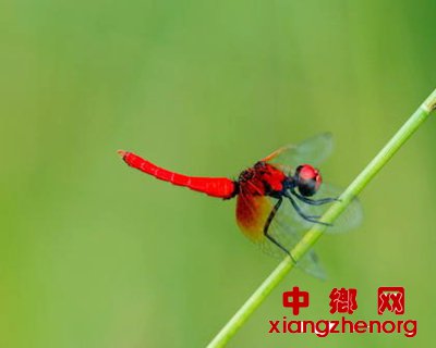 峤15 ĴĿǰ֪СѸ