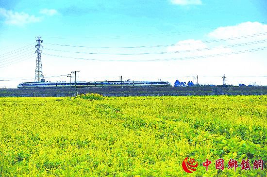 �Լ��ͻ������淨���