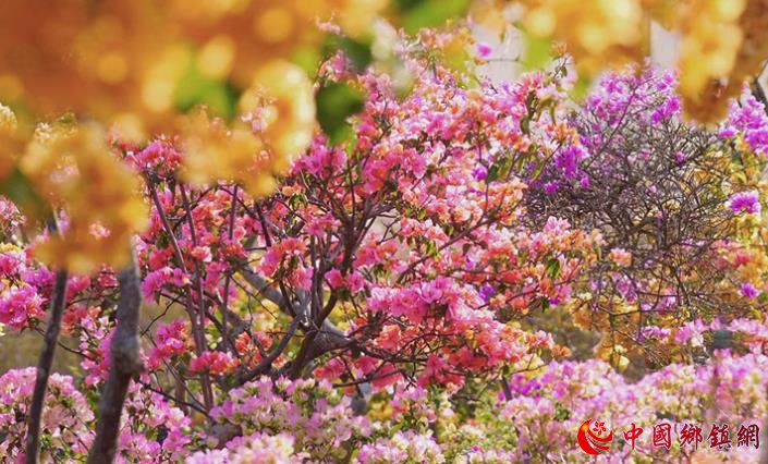 �����ն�20����������÷�������� ��ʫ�续