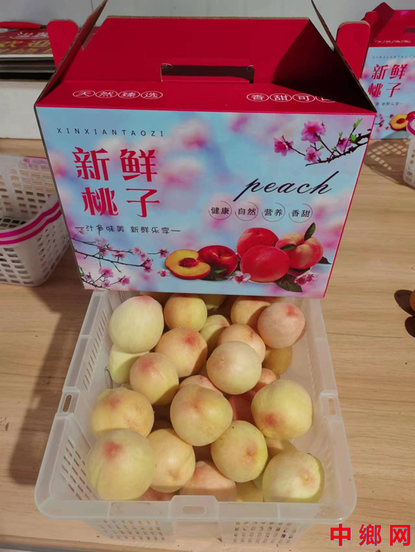 安徽石台仁里：桃子熟了，欢迎来采摘
