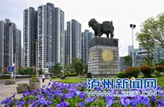 2020 ݽʵ֡سǡȫ