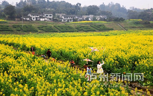 春游正当时 泸州近郊赏花旅游地推荐