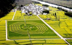 ���ջ����Ͳ˻�����̫������ͼ