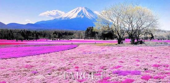 ˼Ĳʺ βһɫ֮