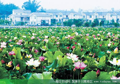 <a  data-cke-saved-href=http://www.luzhouol.cn href=http://www.luzhouol.cn target=_blank class=infotextkey></a>ɫ.jpg