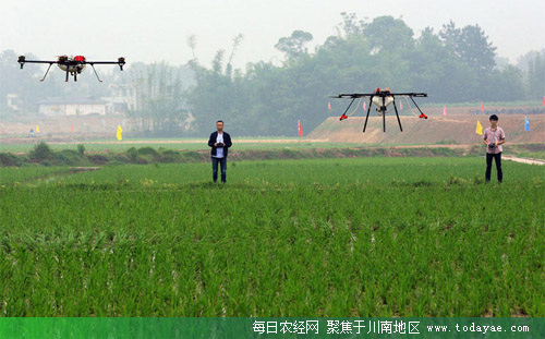 ֲ˻Խ<a  data-cke-saved-href=http://www.luzhouol.cn href=http://www.luzhouol.cn target=_blank class=infotextkey></a>.jpg