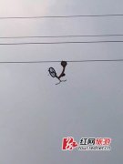 <b>:ο߿յ豸 280׸ߴ׹</b>