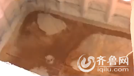 QQͼ20150816231705