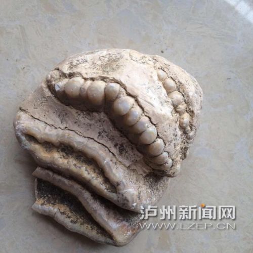 zhangrh1510244 - 