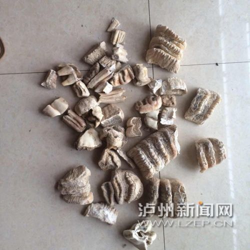 zhangrh1510245 - 