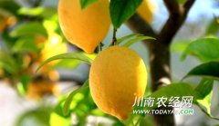 <b>ڽԶչˮҵ ũ¸</b>