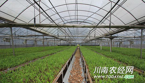 <a  data-cke-saved-href=http://www.luzhouol.com href=http://www.luzhouol.com target=_blank class=infotextkey></a>Ͻʯ.jpg