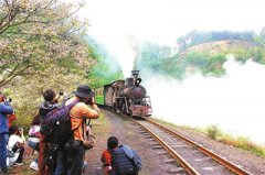 ��ɽ����������������ʻ�� ����������