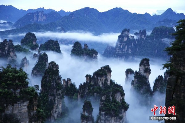 张家界武陵源天子山景区雨后云海飘渺. 吴勇兵 摄