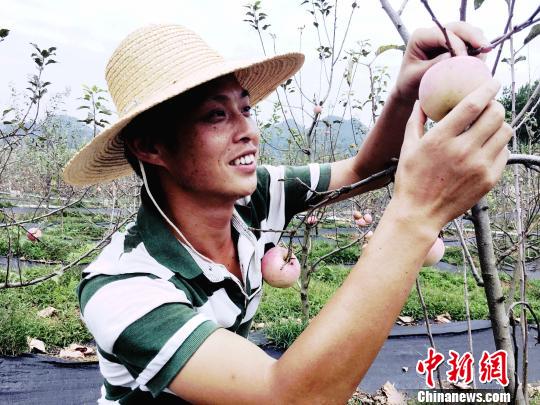 图为游客体验农耕文化。 杨云 摄 图为游客体验农耕文化。 杨云 摄