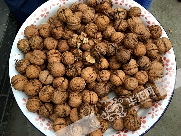 ٷú봨֮ Ϫƶ¸С