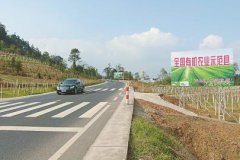 �Ĵ��Ű����ڹ���351����ͨ��һ���� �������������� �ٷ�չ