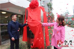 ���ϰ��磺��Ժ���������ݽ���