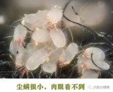 С鷳ҽӦ