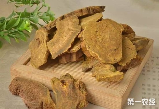 崲 ¤崲ز