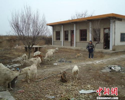 棺ǼաӦʦ