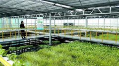 ���� ����������ˮȥ����